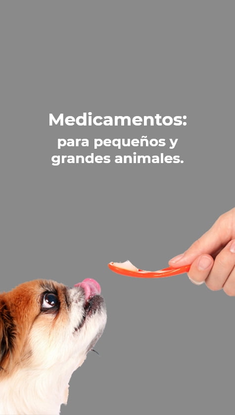 Mobile-Medicamentos
