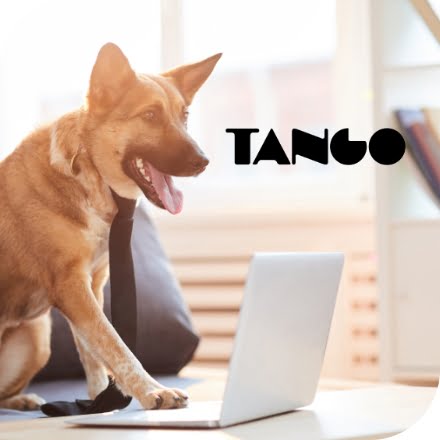 Mobile-Productos-Softwares-Tango-Foto